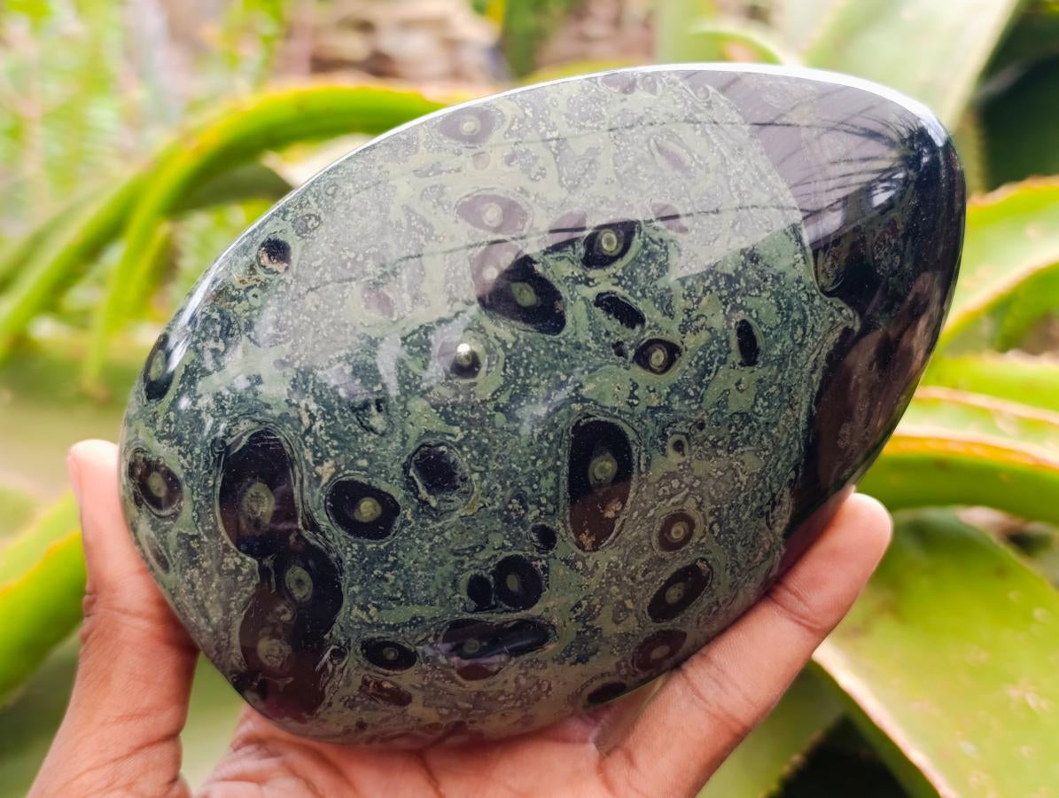 Polished Stromatolite Standing Free Forms x 3 From Katsepy, Madagascar