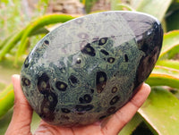 Polished Stromatolite Standing Free Forms x 3 From Katsepy, Madagascar