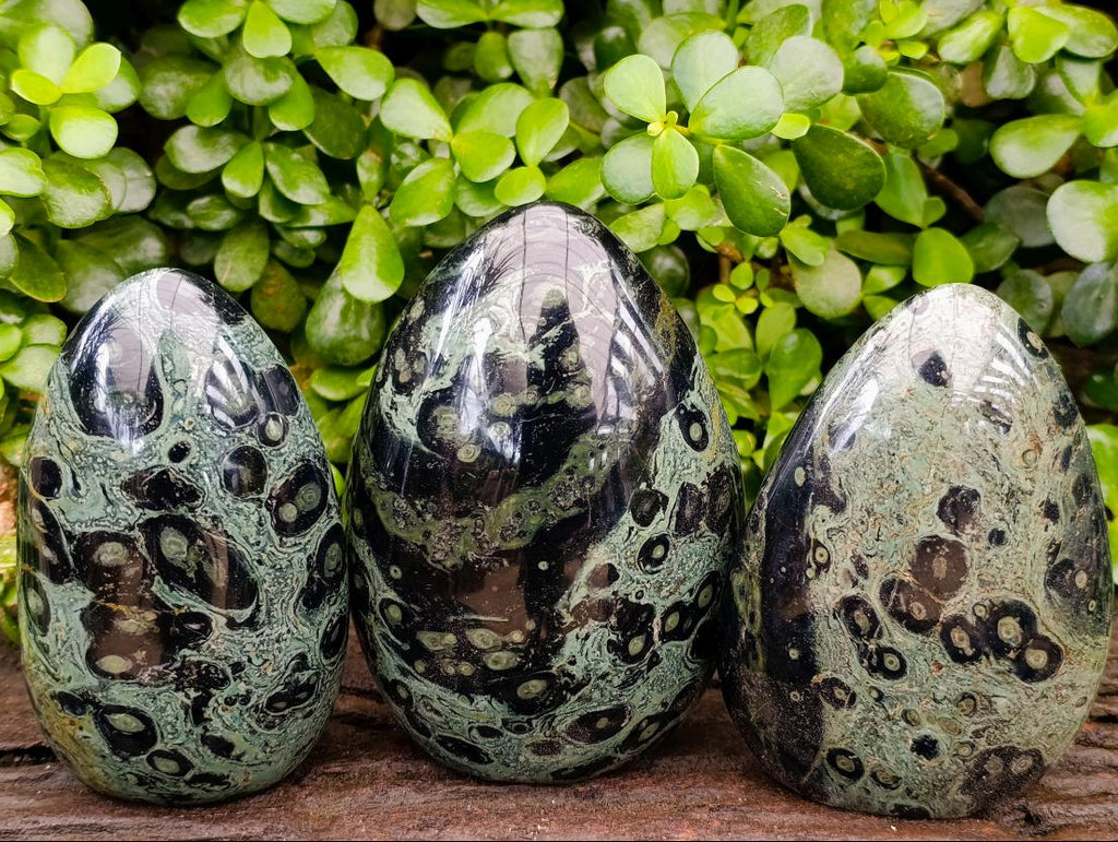 Polished Stromatolite Standing Free Forms x 3 From Katsepy, Madagascar