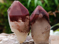 Natural Red Hematoid Quartz Crystals and Clusters x 12 From Karoi, Zimbabwe