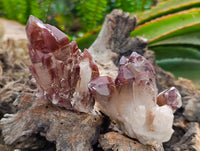 Natural Red Hematoid Quartz Crystals and Clusters x 12 From Karoi, Zimbabwe