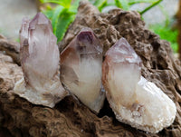 Natural Red Hematoid Quartz Crystals and Clusters x 12 From Karoi, Zimbabwe