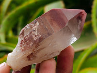 Natural Red Hematoid Quartz Crystals and Clusters x 12 From Karoi, Zimbabwe