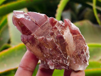 Natural Red Hematoid Quartz Crystals and Clusters x 12 From Karoi, Zimbabwe