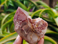 Natural Red Hematoid Quartz Crystals and Clusters x 12 From Karoi, Zimbabwe