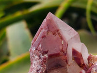 Natural Red Hematoid Quartz Crystals and Clusters x 12 From Karoi, Zimbabwe