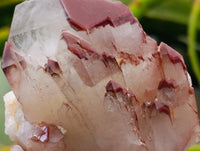 Natural Red Hematoid Quartz Crystals and Clusters x 12 From Karoi, Zimbabwe