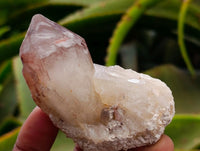 Natural Red Hematoid Quartz Crystals and Clusters x 12 From Karoi, Zimbabwe