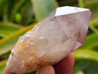 Natural Red Hematoid Quartz Crystals and Clusters x 12 From Karoi, Zimbabwe