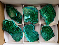 Polished Malacolla Slices x 6 From Kulukuluku, Congo