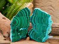 Polished Malacolla Slices x 6 From Kulukuluku, Congo