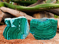 Polished Malacolla Slices x 6 From Kulukuluku, Congo