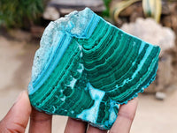 Polished Malacolla Slices x 6 From Kulukuluku, Congo