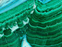 Polished Malacolla Slices x 6 From Kulukuluku, Congo