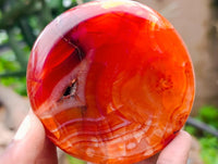 Polished Carnelian Agate Gemstone Bowls x 6 From Madagascar