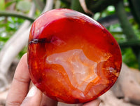 Polished Carnelian Agate Gemstone Bowls x 6 From Madagascar