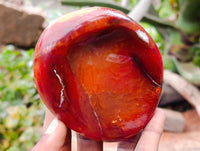 Polished Carnelian Agate Gemstone Bowls x 6 From Madagascar