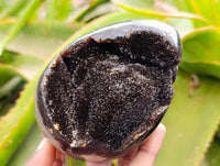 Polished Septerye Sauvage "Dragons Egg" Geodes x 2 From Mahajanga, Madagascar