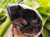 Polished Septerye Sauvage "Dragons Egg" Geodes x 2 From Mahajanga, Madagascar