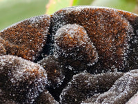 Polished Septerye Sauvage "Dragons Egg" Geodes x 2 From Mahajanga, Madagascar