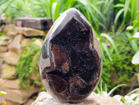 Polished Septerye Sauvage "Dragons Egg" Geodes x 2 From Mahajanga, Madagascar