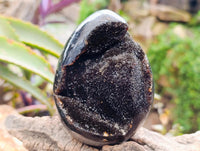 Polished Septerye Sauvage "Dragons Egg" Geodes x 2 From Mahajanga, Madagascar