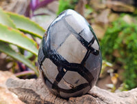 Polished Septerye Sauvage "Dragons Egg" Geodes x 2 From Mahajanga, Madagascar