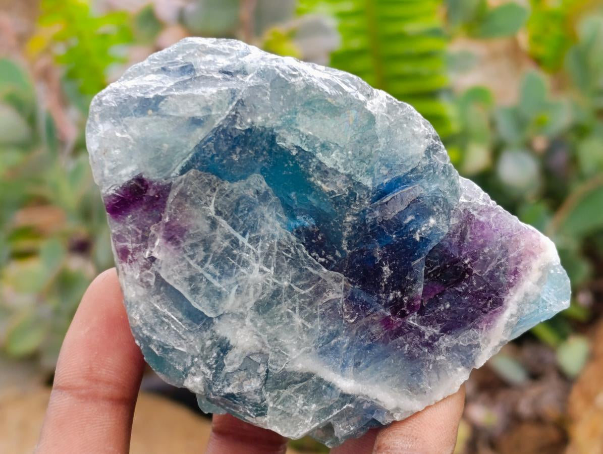 Natural Watermelon Fluorite Cobbed Specimens x 30 From Uis, Namibia