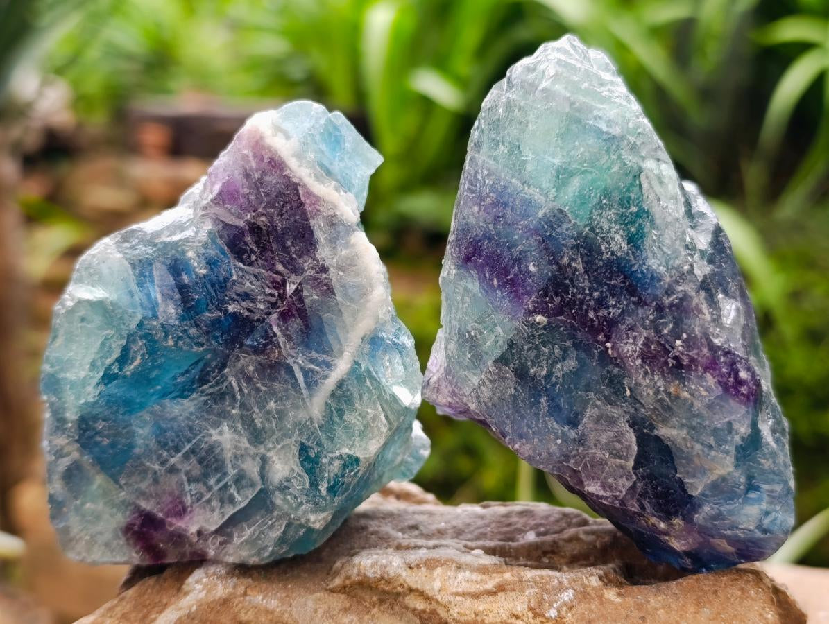 Natural Watermelon Fluorite Cobbed Specimens x 30 From Uis, Namibia