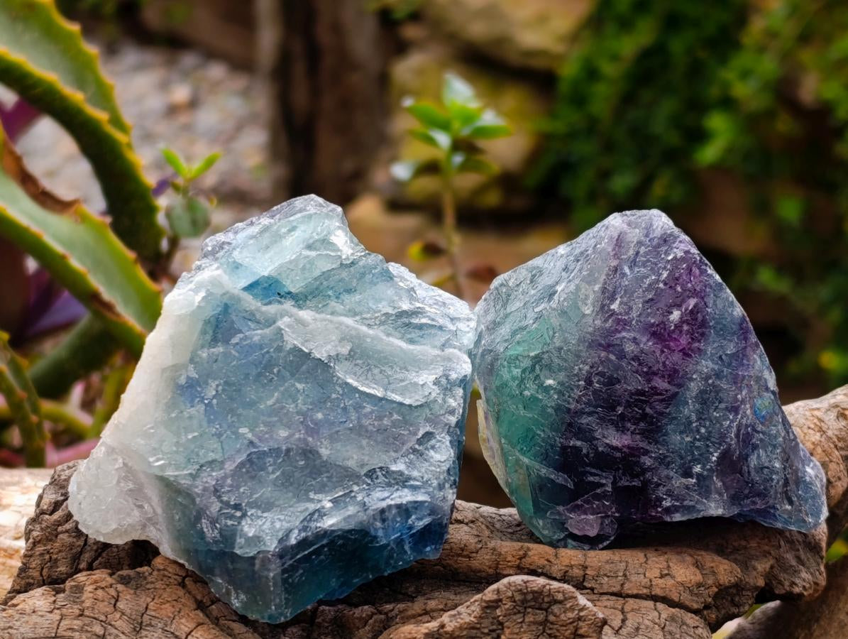 Natural Watermelon Fluorite Cobbed Specimens x 30 From Uis, Namibia