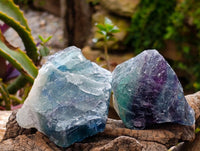 Natural Watermelon Fluorite Cobbed Specimens x 30 From Uis, Namibia