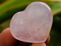 Polished Star Rose Quartz Hearts x 35 From Madagascar