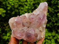 Natural Jacaranda Amethyst Crystal Clusters x 2 From Mumbwa, Zambia