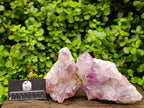 Natural Jacaranda Amethyst Crystal Clusters x 2 From Mumbwa, Zambia