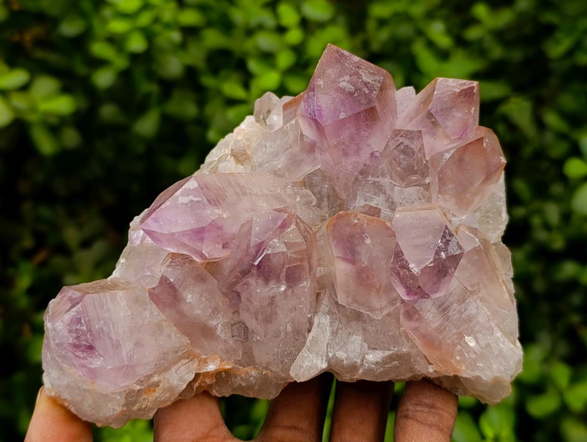 Natural Jacaranda Amethyst Crystal Clusters x 2 From Mumbwa, Zambia