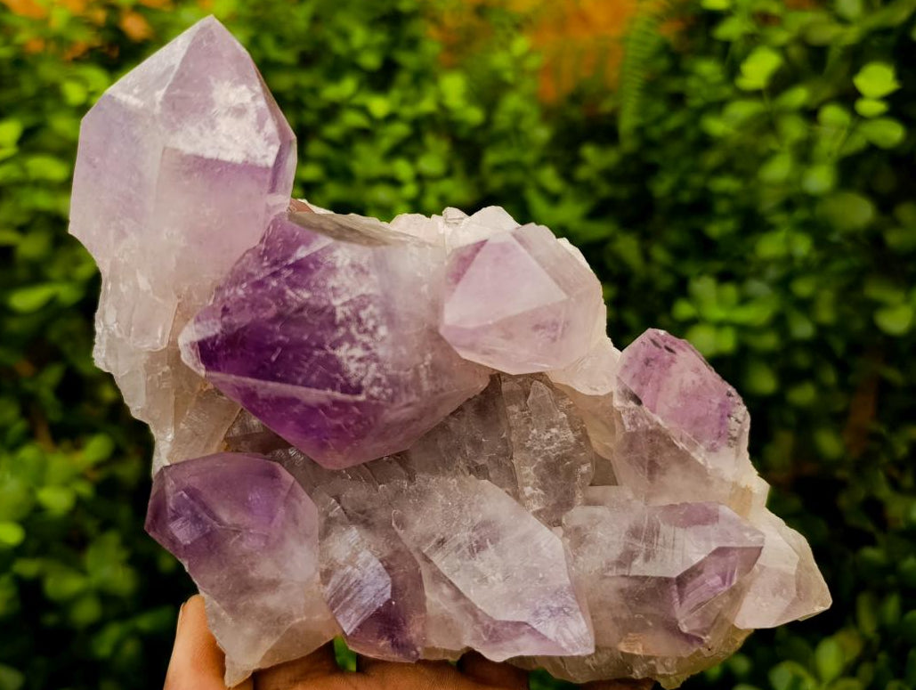 Natural Jacaranda Amethyst Crystal Clusters x 2 From Mumbwa, Zambia