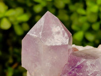 Natural Jacaranda Amethyst Crystal Clusters x 2 From Mumbwa, Zambia