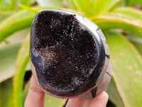 Polished Septerye Sauvage "Dragons Egg" Geodes x 6 From Mahajanga, Madagascar