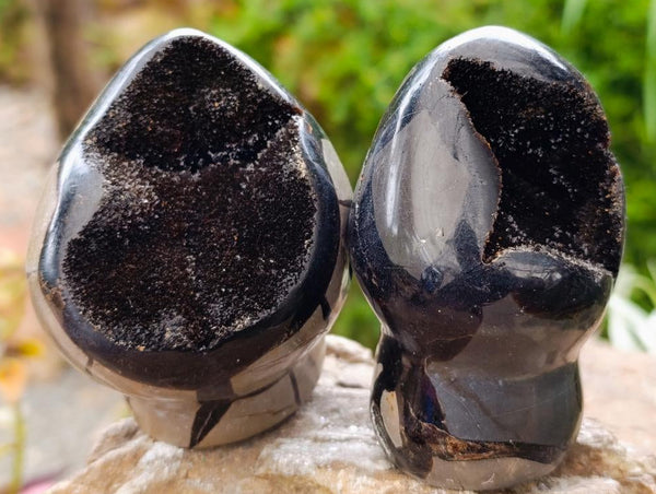 Polished Septerye Sauvage 