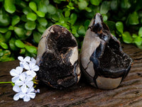 Polished Septerye Sauvage "Dragons Egg" Geodes x 6 From Mahajanga, Madagascar