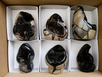 Polished Septerye Sauvage "Dragons Egg" Geodes x 6 From Mahajanga, Madagascar