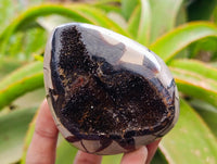 Polished Septerye Sauvage "Dragons Egg" Geodes x 6 From Mahajanga, Madagascar