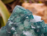 Natural Green Fluorite Cluster Specimens x 2 From Mandrosonoro, Madagascar