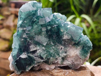 Natural Green Fluorite Cluster Specimens x 2 From Mandrosonoro, Madagascar