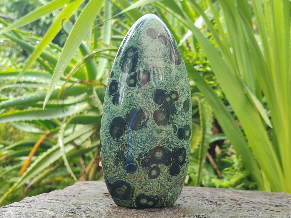 Polished Stromatolite Standing Free Forms x 3 From Katsepy, Madagascar