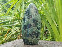 Polished Stromatolite Standing Free Forms x 3 From Katsepy, Madagascar