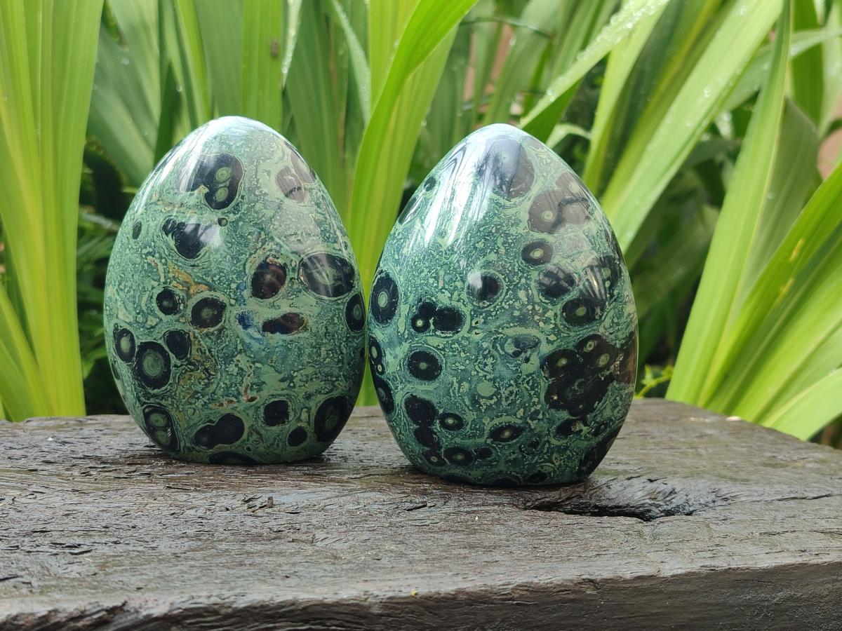 Polished Stromatolite Standing Free Forms x 3 From Katsepy, Madagascar