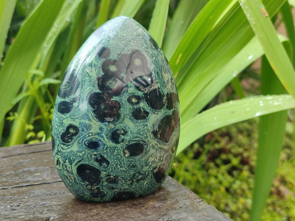 Polished Stromatolite Standing Free Forms x 3 From Katsepy, Madagascar