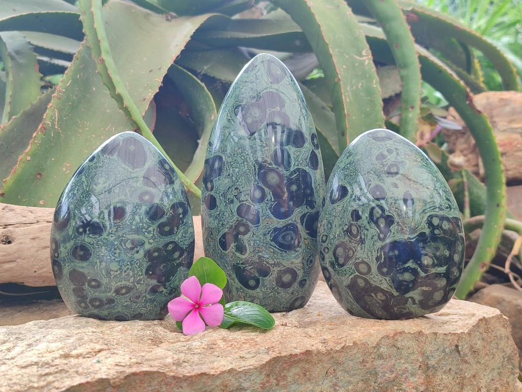 Polished Stromatolite Standing Free Forms x 3 From Katsepy, Madagascar