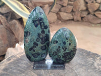 Polished Stromatolite Standing Free Forms x 3 From Katsepy, Madagascar